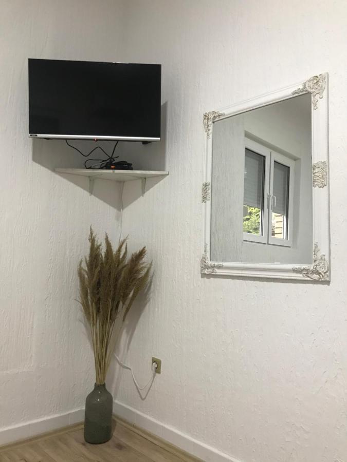 Apartman Studio Milojkovic โกลูบาค ภายนอก รูปภาพ