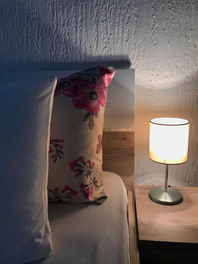 Apartman Studio Milojkovic โกลูบาค ภายนอก รูปภาพ